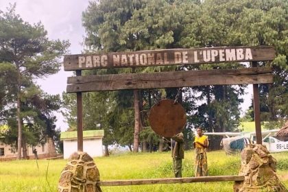 Le siège du Parc national de l’Upemba à Lusinga, dans le territoire de Mwitaba (Haut-Katanga), a été la cible d’une attaque armée attribuée aux miliciens Maï-Maï dans la nuit de mardi 03 mars à mercredi 04 mars 2026.